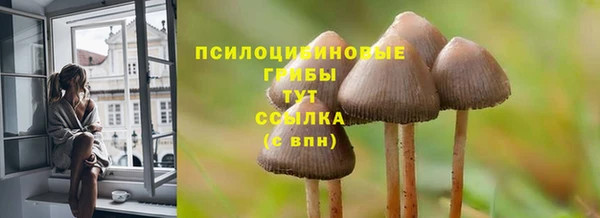 трава Аркадак