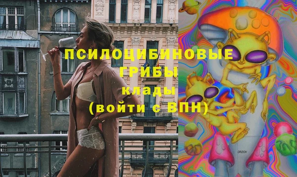 твердый Армянск